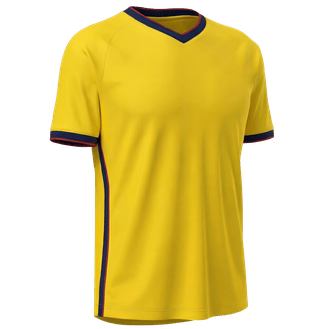 Equador team jersey