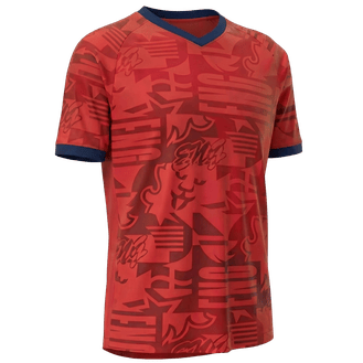 Inglaterra team jersey