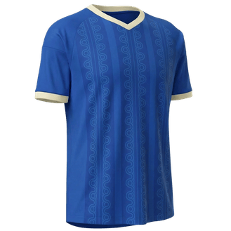 Suecia team jersey